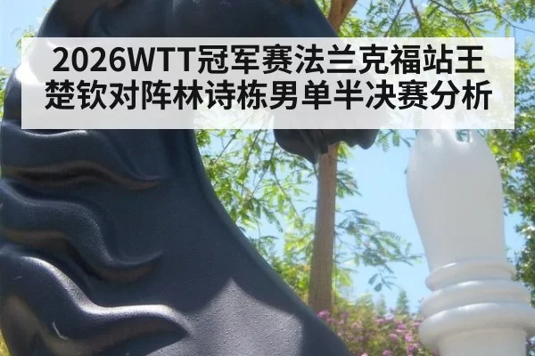 2026WTT冠军赛法兰克福站王楚钦对阵林诗栋男单半决赛分析